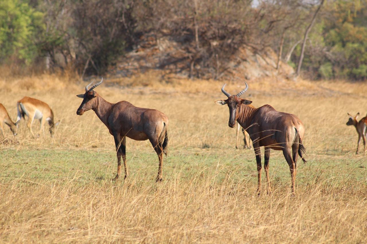 Chaminuka Lodge Lusaka Exteriér fotografie