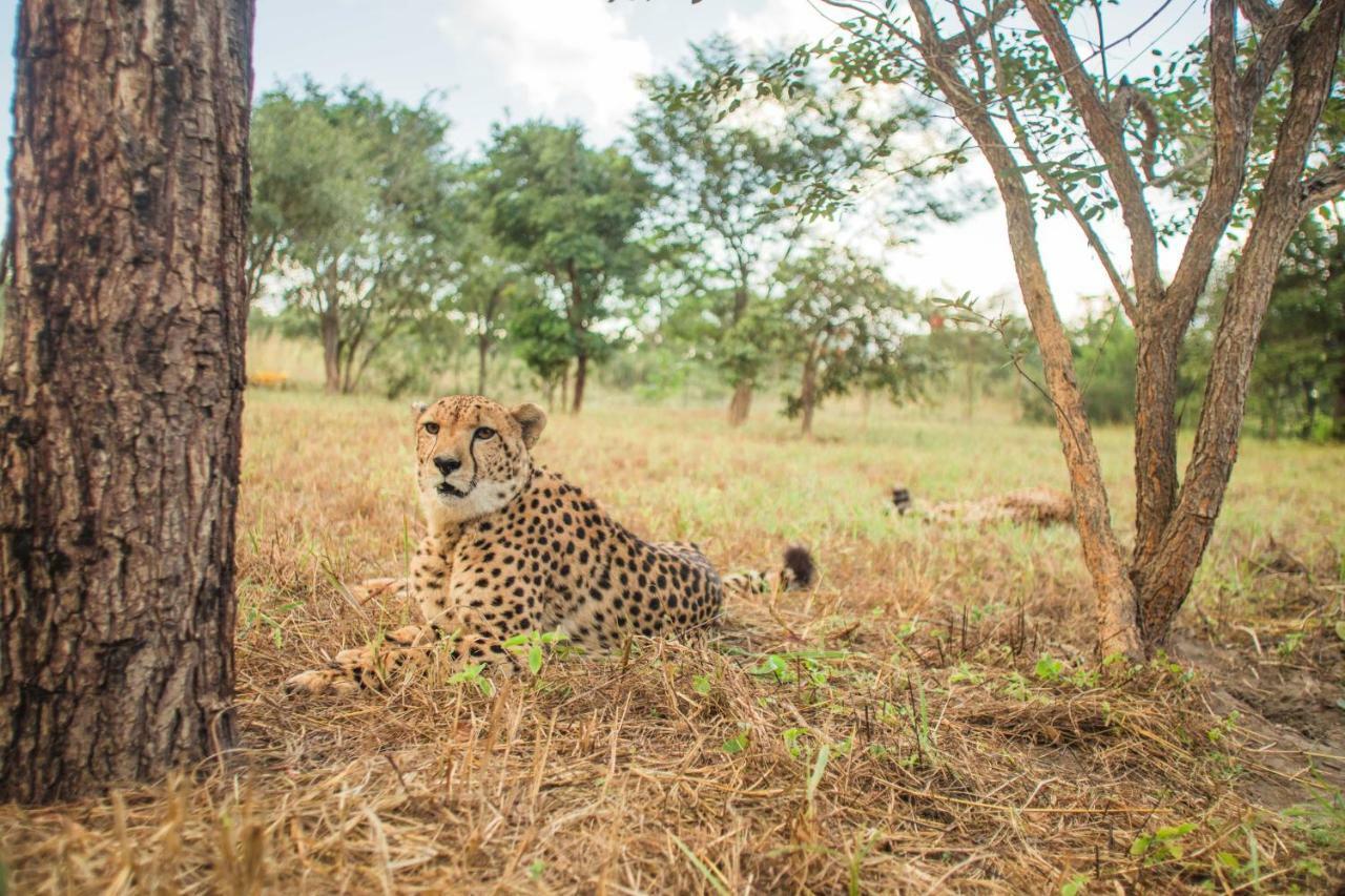 Chaminuka Lodge Lusaka Exteriér fotografie